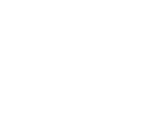 TSH-Logo