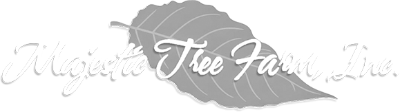 mtf-logo-white